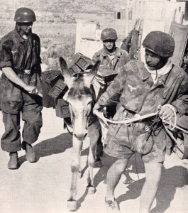 Paraquedistas alemães transportando munições em cima de uma mula durante a Batalha de Creta, Maio de 1940.