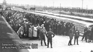 Seleção de judeus húngaros durante o Aktion Höss, no qual 430 mil foram transportados e assassinados em Auschwitz no espaço de apenas 56 dias. 